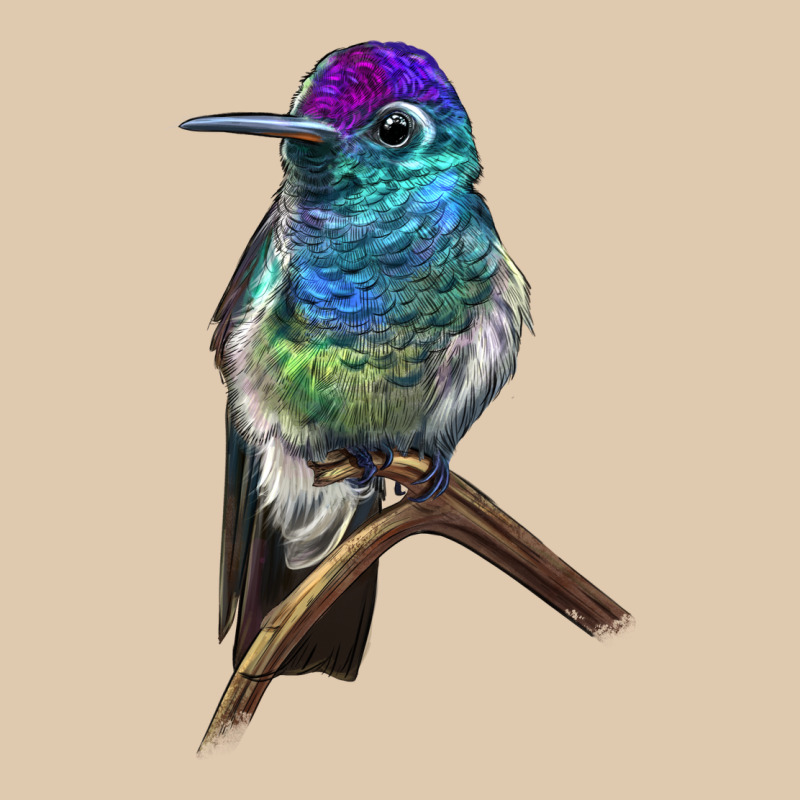 Rivoli`s Hummingbird Classic Tee by LillyAllenDesigns | Teevron
