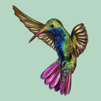 Broad Billed Hummingbird Classic Tee | Teevron