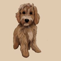 Maltipoo Heavyweight Sweatshirt | Teevron