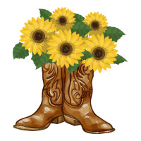 cowgirl boots | Teevron