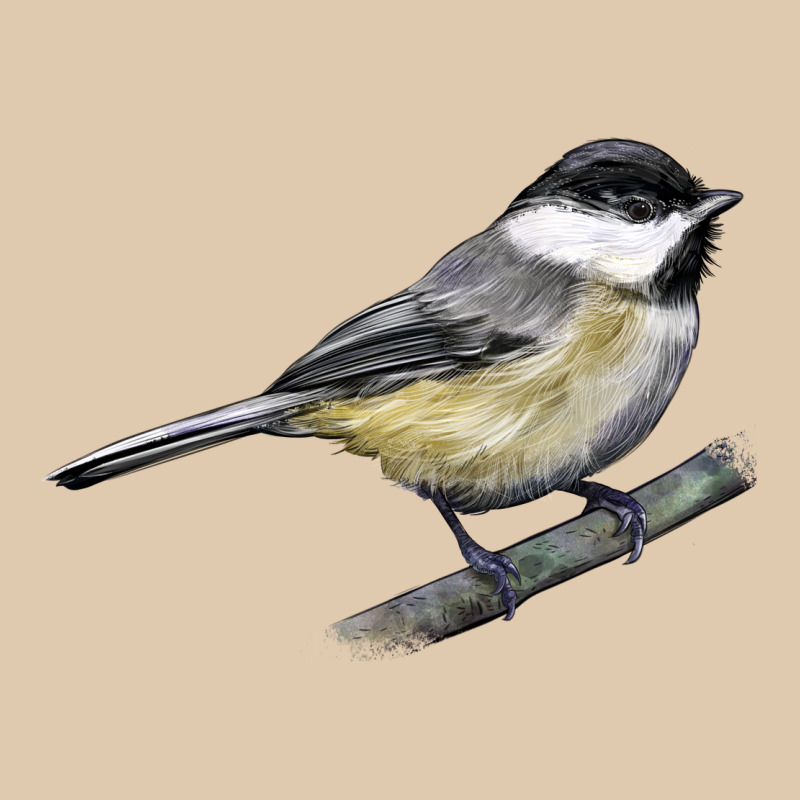 Black Capped Chickadee Classic Tee by LillyAllenDesigns | Teevron