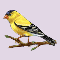 American Goldfinch Classic Tee | Teevron