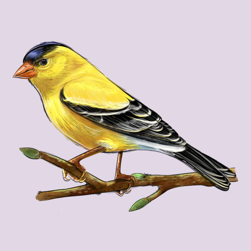 American Goldfinch Classic Tee by LillyAllenDesigns | Teevron