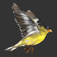 Flying American Goldfinch | Teevron