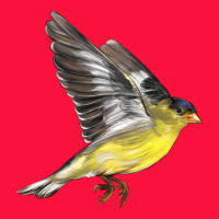 Flying American Goldfinch Classic Tee | Teevron