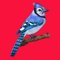 Blue Jay Bird Classic Tee | Teevron