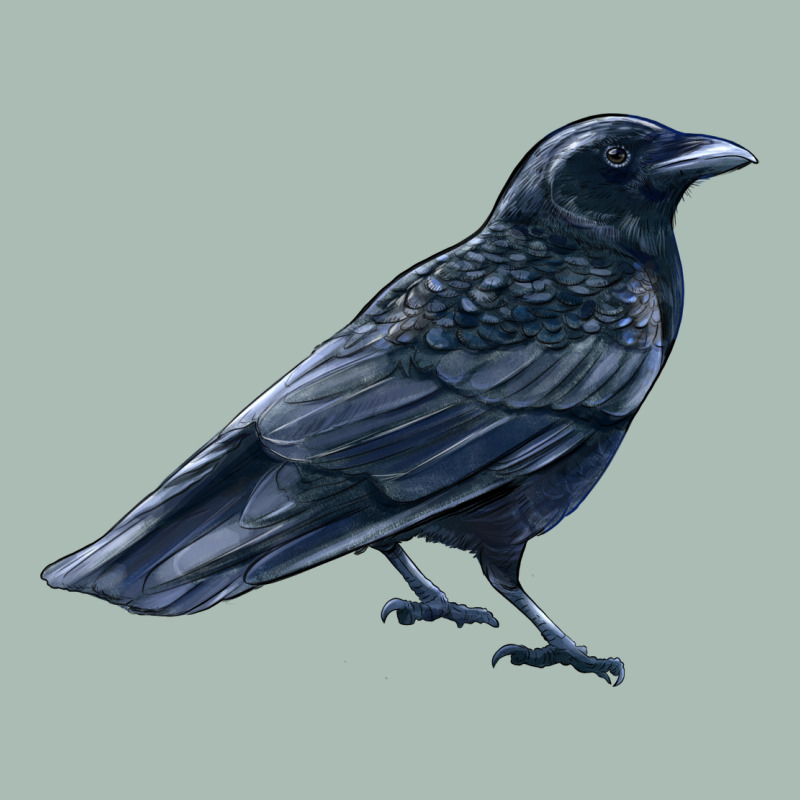 American Crow Classic Tee by LillyAllenDesigns | Teevron