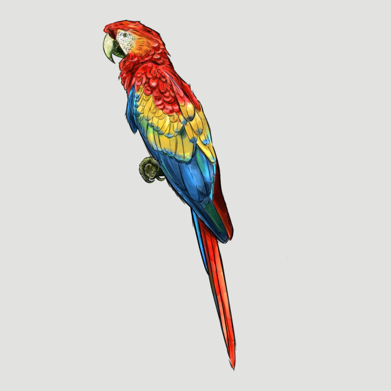Scarlet Macaw Parrot Classic Tee by LillyAllenDesigns | Teevron