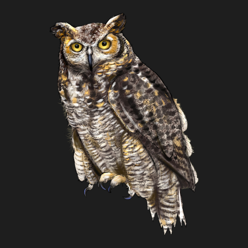 Great Horned Owl Classic Tee by LillyAllenDesigns | Teevron
