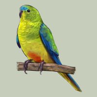 Neophema Parrot Classic Tee | Teevron