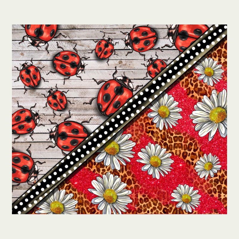 Ladybug Urban Heavy Tee by BarkalooDesign | Teevron