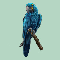 Hyacinth Macaw Classic Tee | Teevron