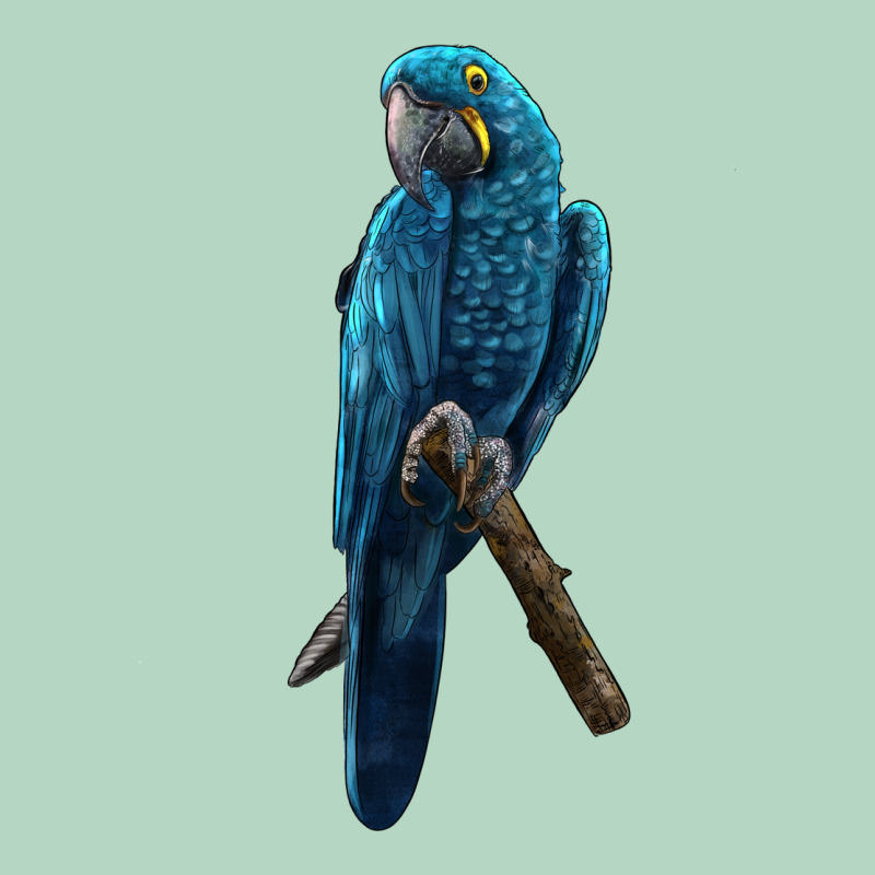 Hyacinth Macaw Classic Tee by LillyAllenDesigns | Teevron