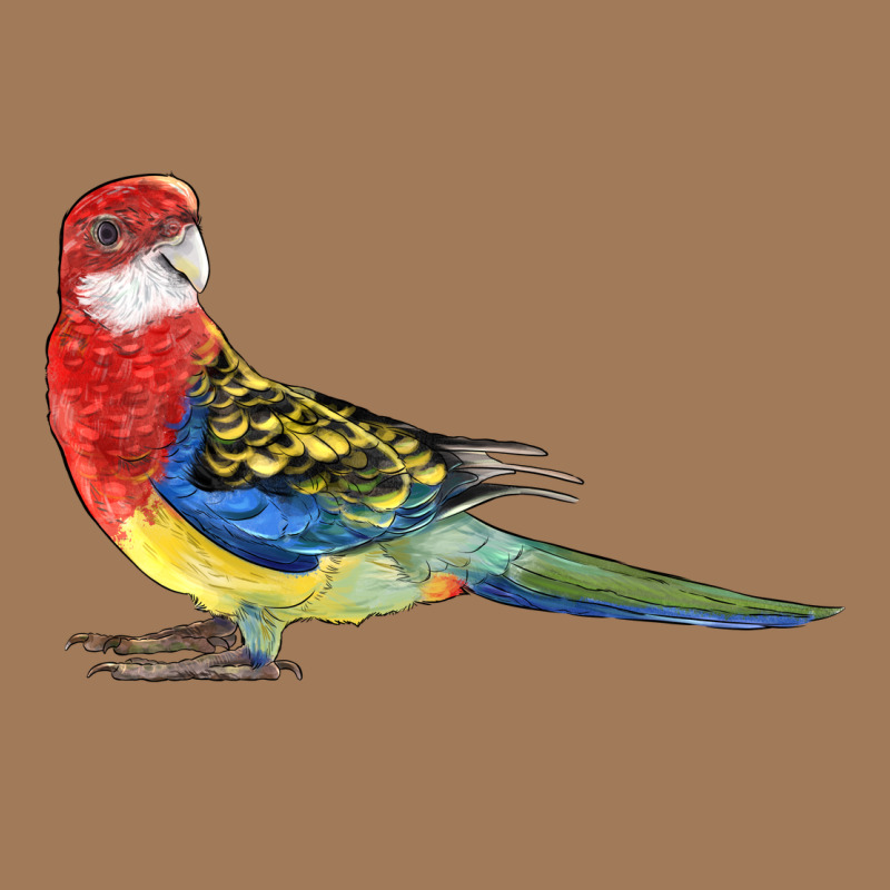 Rosella Bird Classic Tee by LillyAllenDesigns | Teevron