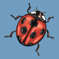 Ladybug Urban Heavy Tee | Teevron