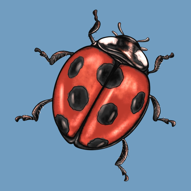 Ladybug Urban Heavy Tee by BarkalooDesign | Teevron