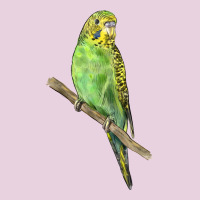 Budgeriar Bird Parrot Classic Tee | Teevron