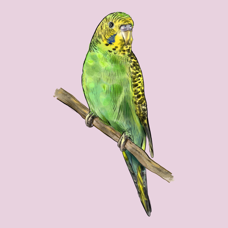 Budgeriar Bird Parrot Classic Tee by LillyAllenDesigns | Teevron