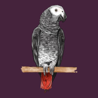 African Gray Parrot Bird Classic Tee | Teevron