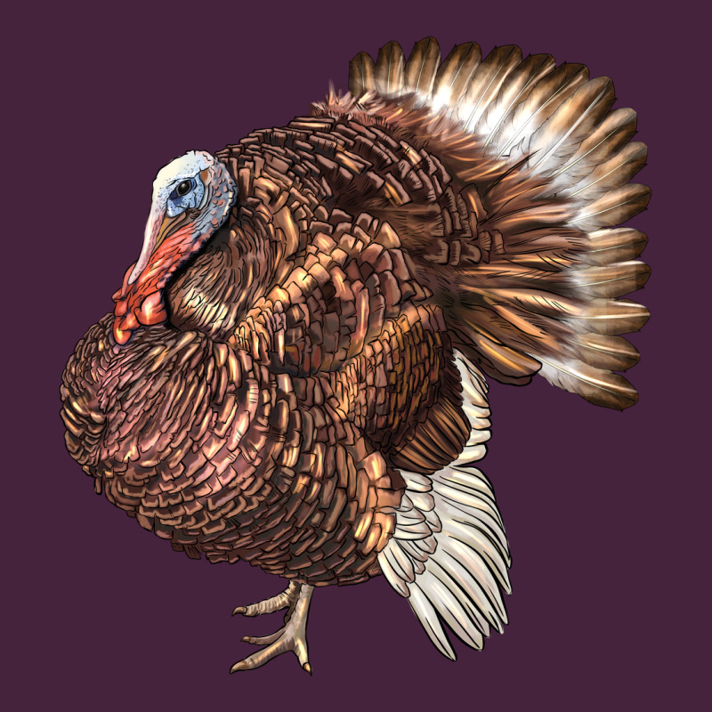 Bourbon Red Turkey Classic Tee by LillyAllenDesigns | Teevron