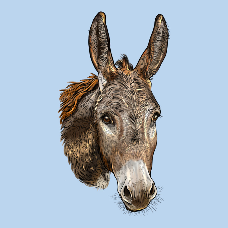Andalusian Donkey Face Classic Tee by LillyAllenDesigns | Teevron