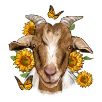 sunflower goat | Teevron