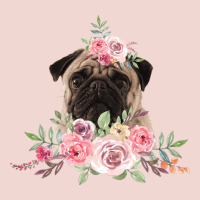Pug Premium Sweatshirt | Teevron