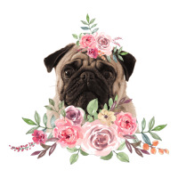 Pug | Teevron