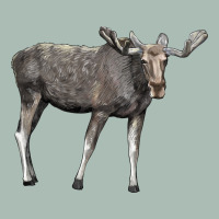 Moose Buck Deer Classic Tee | Teevron