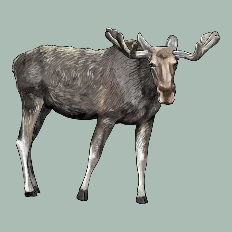 Moose Buck Deer Classic Tee by LillyAllenDesigns | Teevron