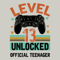 Level 13 Unlocked Official Teenager 13th Birthday Heavyweight Hoodie | Teevron