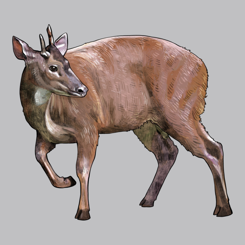 Red Brocket Buck Deer Classic Tee by LillyAllenDesigns | Teevron