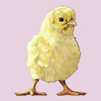Chick Classic Tee | Teevron