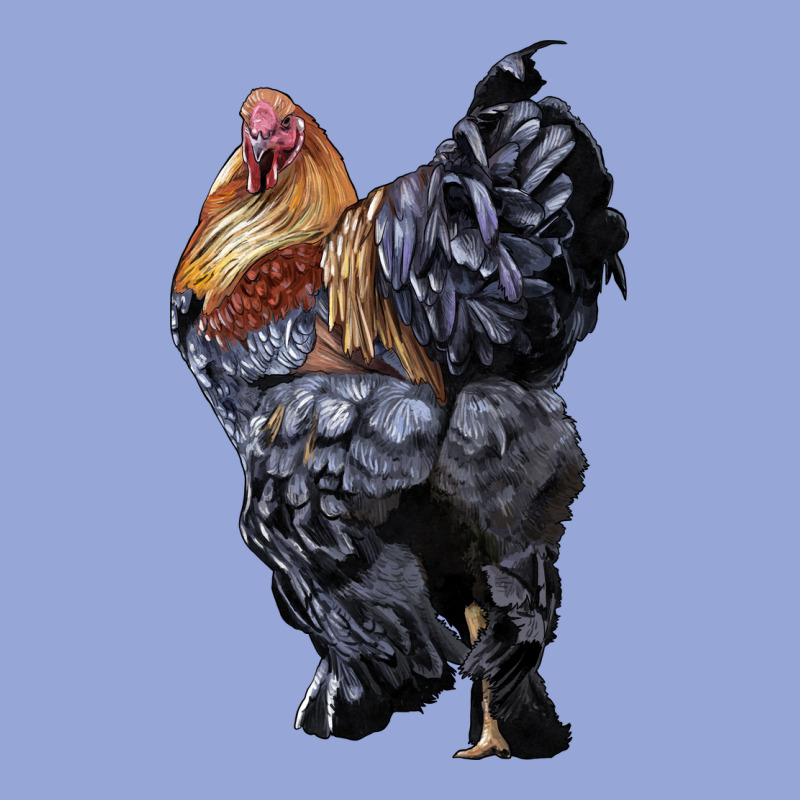 Brahma Rooster Classic Tee by LillyAllenDesigns | Teevron