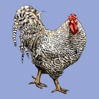 Dominique Rooster Classic Tee | Teevron