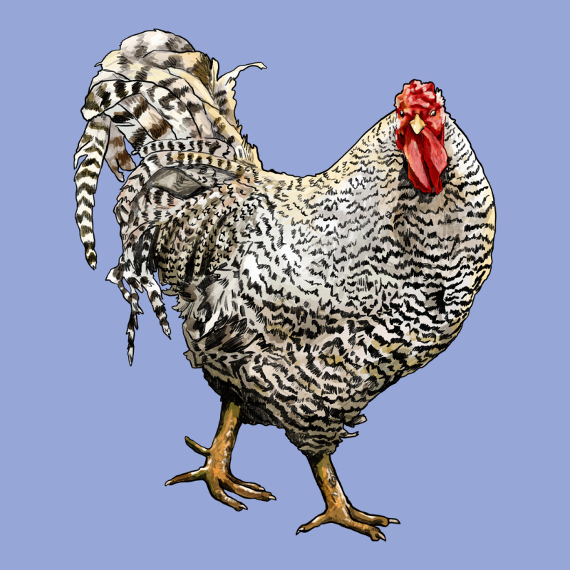 Dominique Rooster Classic Tee by LillyAllenDesigns | Teevron