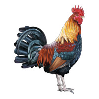 New Hampshire Red Rooster Classic Tee | Teevron
