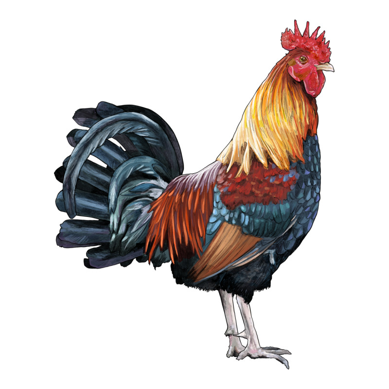 New Hampshire Red Rooster Classic Tee by LillyAllenDesigns | Teevron