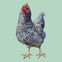 Dominique Chicken Classic Tee | Teevron