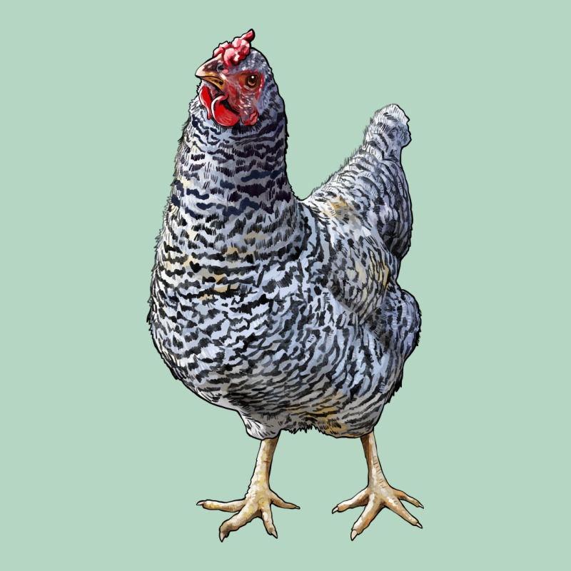 Dominique Chicken Classic Tee by LillyAllenDesigns | Teevron