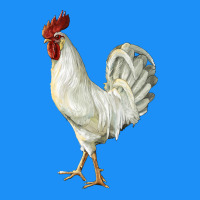 Leghorn Rooster Classic Tee | Teevron