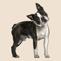 Boston Terrier Urban Heavy Tee | Teevron