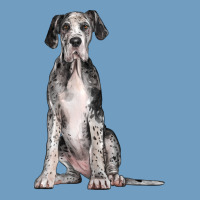 Great Dane Dog Urban Heavy Tee | Teevron