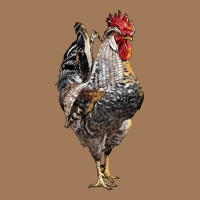 Cream Legbar Rooster Classic Tee | Teevron