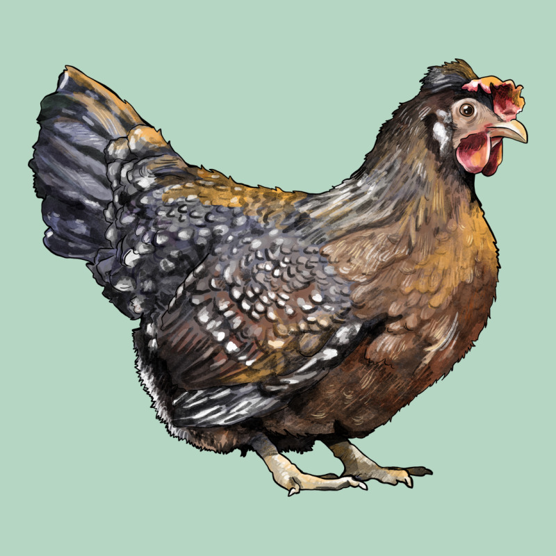 Cream Legbar Chicken Classic Tee by LillyAllenDesigns | Teevron