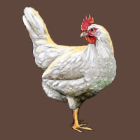 Leghorn Chicken Classic Tee | Teevron