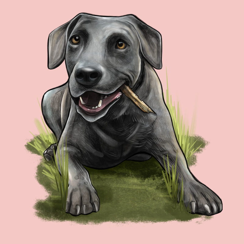 Texas Blue Lacy Dog Urban Heavy Tee by LillyAllenDesigns | Teevron
