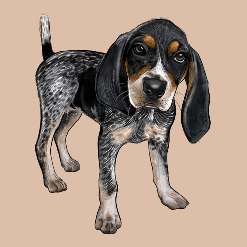 Bluetick Coonhound Urban Heavy Tee by LillyAllenDesigns | Teevron