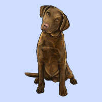 Chesapeake Bay Retriever Urban Heavy Tee | Teevron