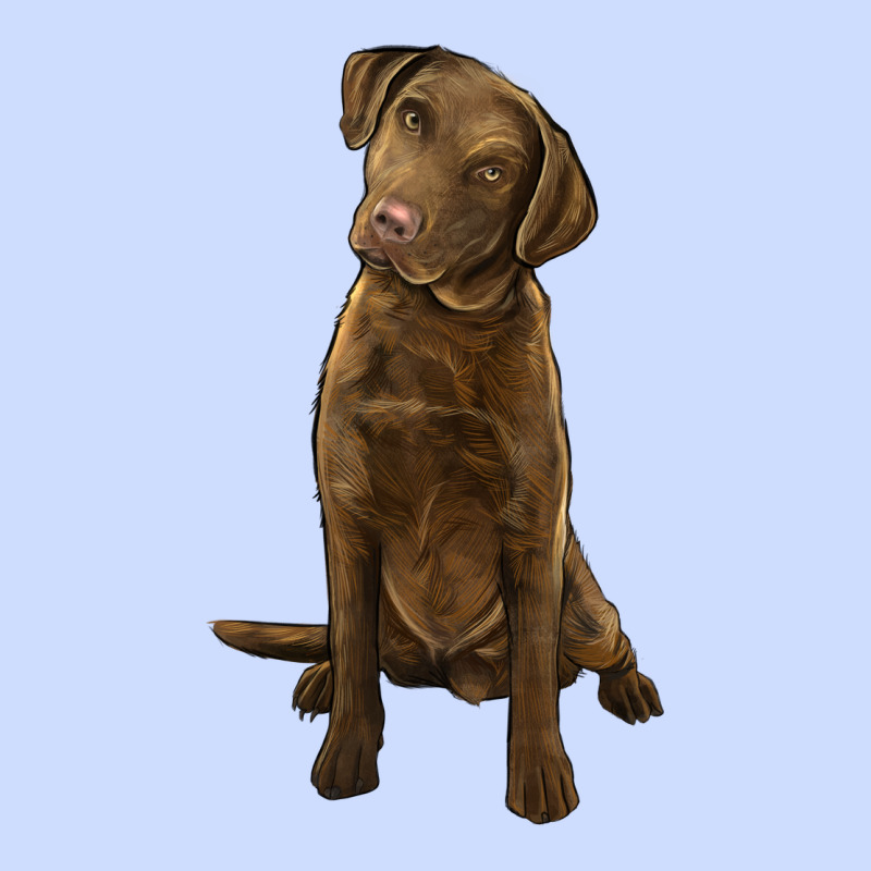 Chesapeake Bay Retriever Urban Heavy Tee by LillyAllenDesigns | Teevron